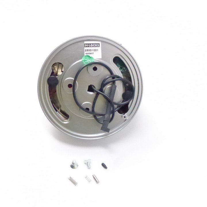M-Locks Echo Blanc + Lecteur Dallas