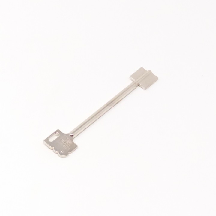 Ebauche de Clé DSD pour Mauer 70076 (Variator B)