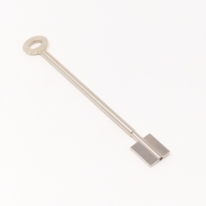 Ebauche de Clé DSD pour Mauer 70076 (Variator B)